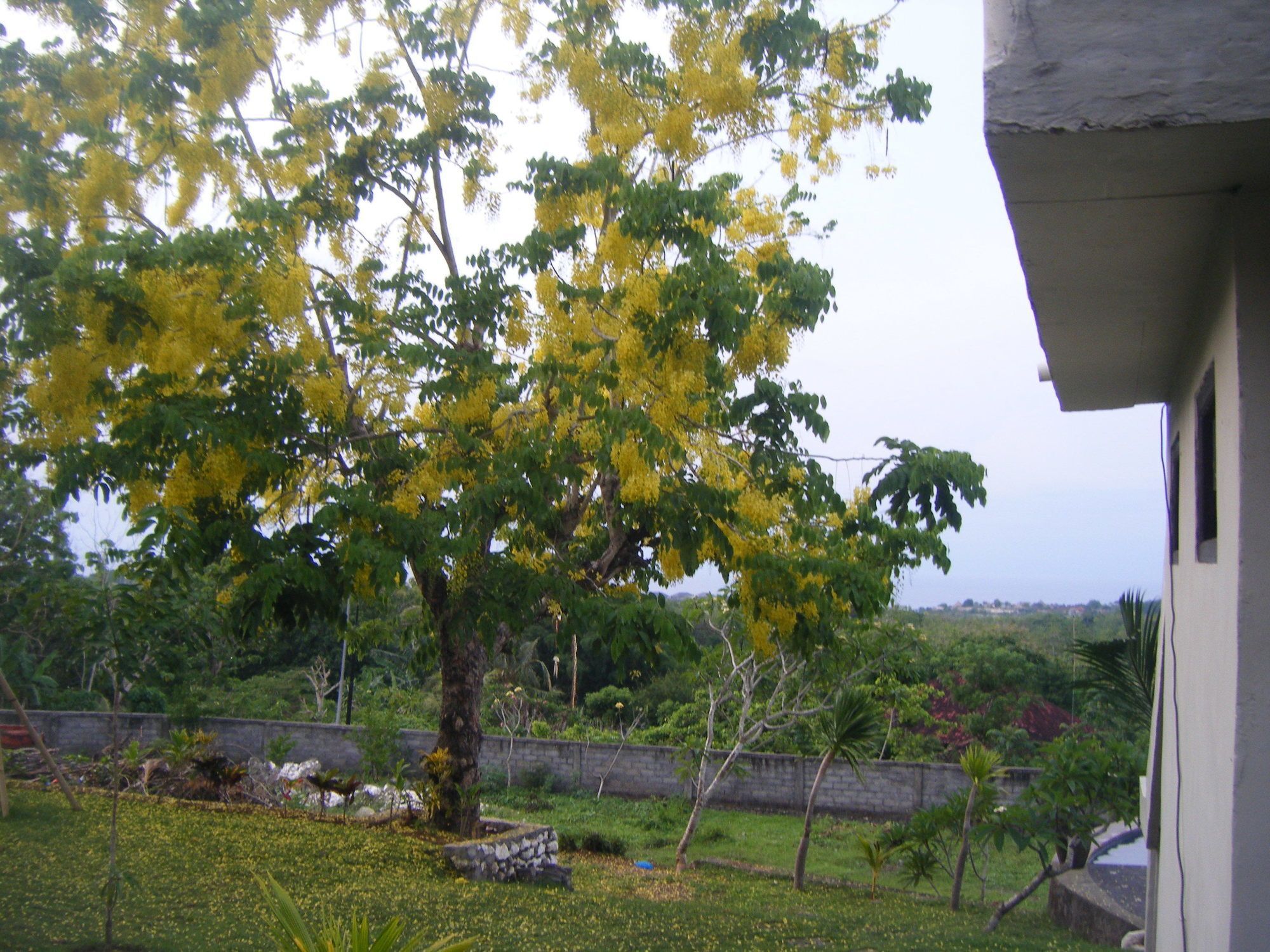 3D Homestay Pecatu  Ngoại thất bức ảnh