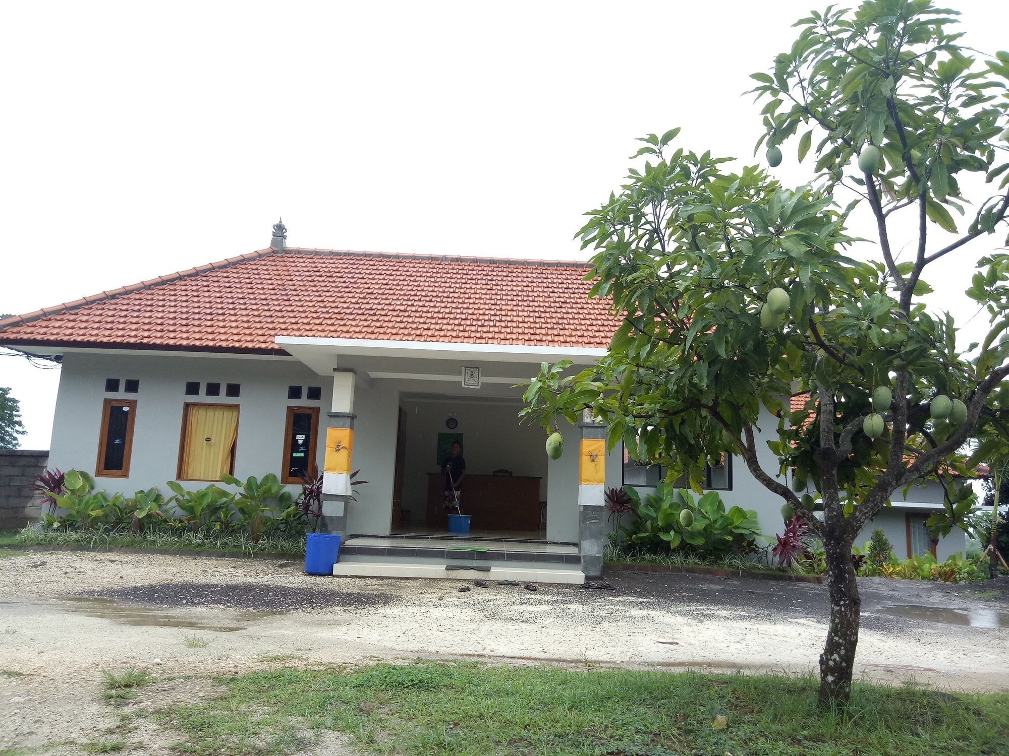 3D Homestay Pecatu  Ngoại thất bức ảnh